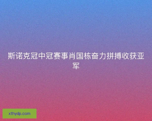 斯诺克冠中冠赛事肖国栋奋力拼搏收获亚军