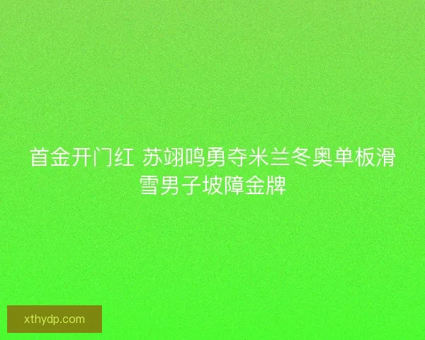 首金开门红 苏翊鸣勇夺米兰冬奥单板滑雪男子坡障金牌
